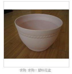 求购塑料花盆及优质花盆信息发布要点