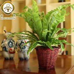 金柳 柳编田园 94 复古草编柳编花盆花盆价格,图片,品牌信息 齐家网产品库
